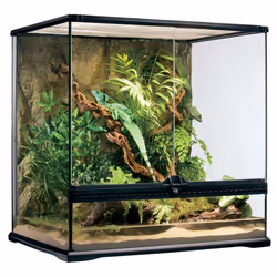 Terrarium 60x45x60cm Exo Terra