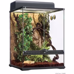 EXO TERRA Terrarium forêt pluviale équipé L - Pour reptile ou amphibien