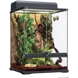 EXO TERRA Terrarium forêt pluviale équipé L - Pour reptile ou amphibien