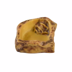 Exo Terra Water Dish - Small, Gamelle à eau pour animaux de compagnie, Marron, Monochromatique