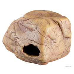Exo Terra PT2865 Cave 1 pièce(s)