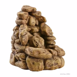 Kit de décoration cascade naturelle et pompe Exo Terra
