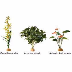 Kit de décoration anthurium Exo Terra