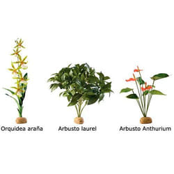 Kit de décoration anthurium Exo Terra