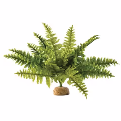 EXO-TERRA Fougere de boston - GM - Pour reptile ou amphibien