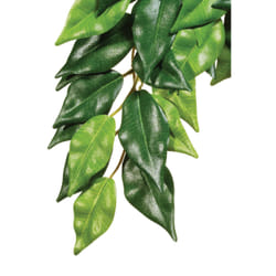 Exo Terra PT3030 ornement de décor d’habitat pour amphibiens et reptiles Plantes