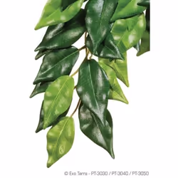 Kit de décoration ficus plante Exo Terra