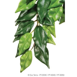 Kit de décoration ficus plante Exo Terra
