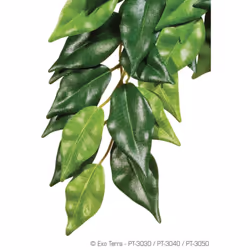 EXO TERRA Ficus Jungle Plant GM - Pour terrarium