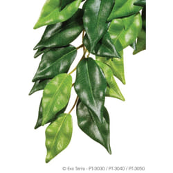 EXO TERRA Ficus Jungle Plant GM - Pour terrarium