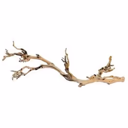 EXO TERRA Decoration Pied de vigne sable - Grand modele - Pour terrarium