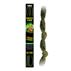 Exo Terra PT3083 Plantes 1 pièce(s)