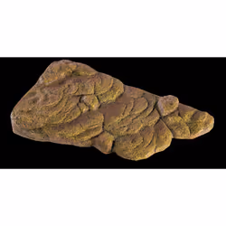 Exo Terra Turtle Bank - Medium Rock 1 pièce(s) - Vue supplémentaire 4