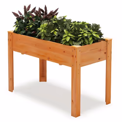 COSTWAY Jardinière Surélevé sur Pieds en Bois de Sapin Trous de Drainage et Espaces pour Fruits Légumes Herbes Fleurs Marron