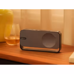 Bose 892399-0020 haut-parleur portable et de fête Enceinte portable mono Gris - Vue supplémentaire 2