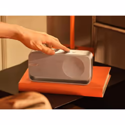 Bose 892399-0010 haut-parleur portable et de fête Enceinte portable mono Argent - Vue supplémentaire 7