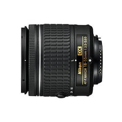Nikon AF-P DX NIKKOR 18-55mm f/3.5-5.6G SLR Noir