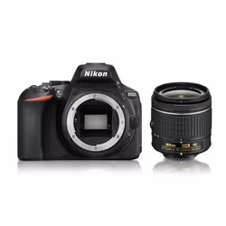Nikon D5600 + AF-P DX 18-55mm G VR Kit d'appareil-photo SLR 24,2 MP CMOS 6000 x 4000 pixels Noir