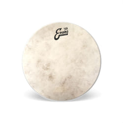 Evans Claftone Caisse claire Peau de frappe