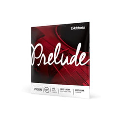 D'Addario J813 1/16M 1 pièce(s) Acier Violon