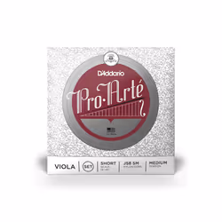 D'Addario J5802 SM corde d'instrument de musique 1 pièce(s) Synthétique Alto