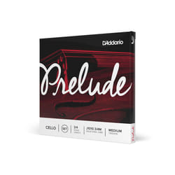 D'Addario J1011 3/4M Classique 1 pièce(s) Acier Violon