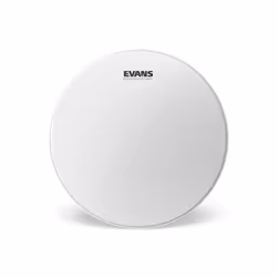 Evans B14STD, Caisse claire, Peau de frappe, Blanc, 1 pièce(s), États-Unis