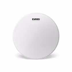 Evans B13ST, Caisse claire, Peau de frappe, Blanc, 1 pièce(s), États-Unis