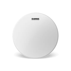 Evans B13ST accessoire pour batterie Caisse claire Peau de frappe