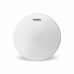 Evans B13HW, Caisse claire, Peau de frappe, Blanc, 1 pièce(s), États-Unis
