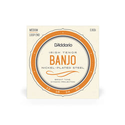 D'Addario EJ63I corde d'instrument de musique 4 pièce(s) Acier Banjo