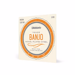 D'Addario EJ63, Banjo, Acier, 4 pièce(s)