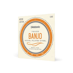 D'Addario EJ63 corde d'instrument de musique 4 pièce(s) Acier Banjo