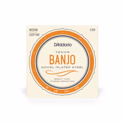 D'Addario EJ63 corde d'instrument de musique 4 pièce(s) Acier Banjo