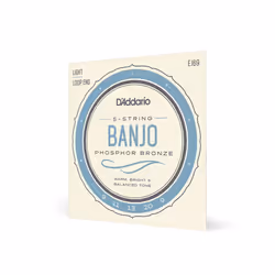 D'Addario EJ69 corde d'instrument de musique 5 pièce(s) Acier Banjo