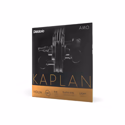 D'Addario KA313 4/4L, Violon, Classique, 1 pièce(s)