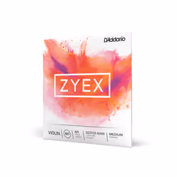 D'Addario DZ310S 4/4M, Violon, Classique, 4 pièce(s)