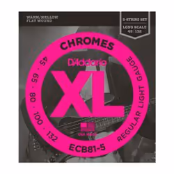 D'Addario ECB81-5