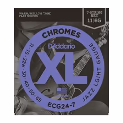 D'Addario ECG24-7, Guitare, Electrique, 7 pièce(s)