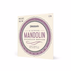 D'Addario EJ70, Mandoline, 8 pièce(s)