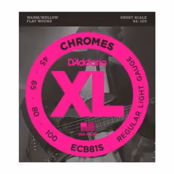 D'Addario ECB81S