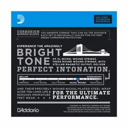 D'Addario EXL170-12 corde d'instrument de musique Basse 12 pièce(s) Acier Guitare