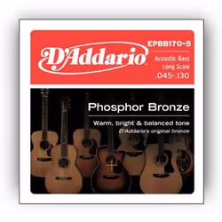 D'Addario EPBB170-5, Guitare, Acier, Basse acoustique, 5 pièce(s)