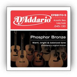 D'Addario EPBB170-5 corde d'instrument de musique Basse acoustique 5 pièce(s) Acier Guitare