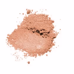 Clinique True Bronze Pressed Powder Bronzer poudre de visage 9,6 g Sunkissed