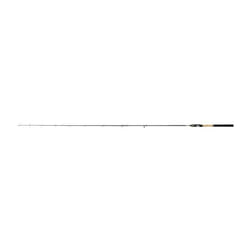 Canne spinning Shimano Sustain M-F 7-28 g