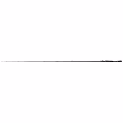 Canne casting Shimano Curado Casting FAST 6'10" 7-21g
