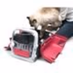 CAT IT Cage de transport Cabrio - Rouge cerise - Pour chat