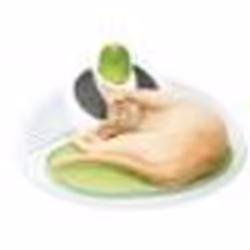 Station De Massage Pour Chat Catit Senses 2.0