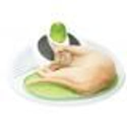 Station De Massage Pour Chat Catit Senses 2.0